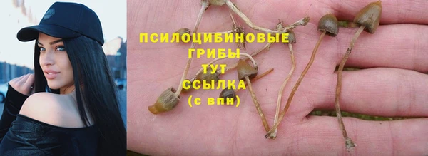 прущие крисы Карпинск
