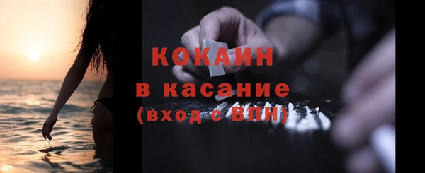 хмурый Каменка