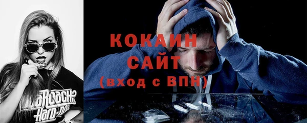хмурый Каменка