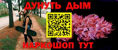 кокаин Гатчина