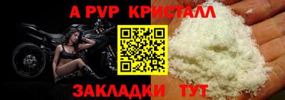 прущие грибы Азнакаево