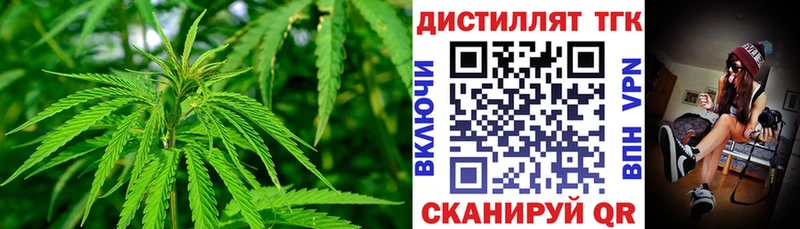 где можно купить   Подольск  Дистиллят ТГК Wax 