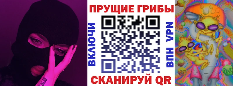 Галлюциногенные грибы GOLDEN TEACHER  где продают наркотики  Подольск 