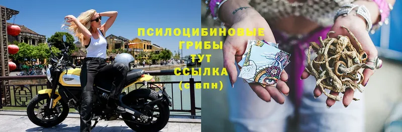 закладка  OMG ссылки  Псилоцибиновые грибы мухоморы  Подольск 