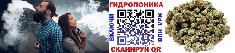 Бошки марихуана сатива Подольск